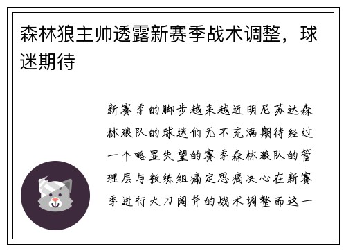 森林狼主帅透露新赛季战术调整，球迷期待