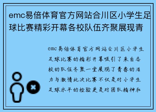 emc易倍体育官方网站合川区小学生足球比赛精彩开幕各校队伍齐聚展现青春风采