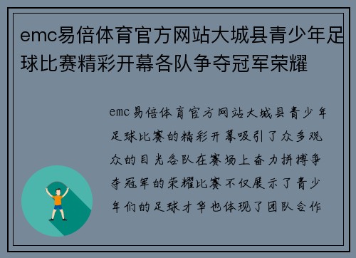 emc易倍体育官方网站大城县青少年足球比赛精彩开幕各队争夺冠军荣耀